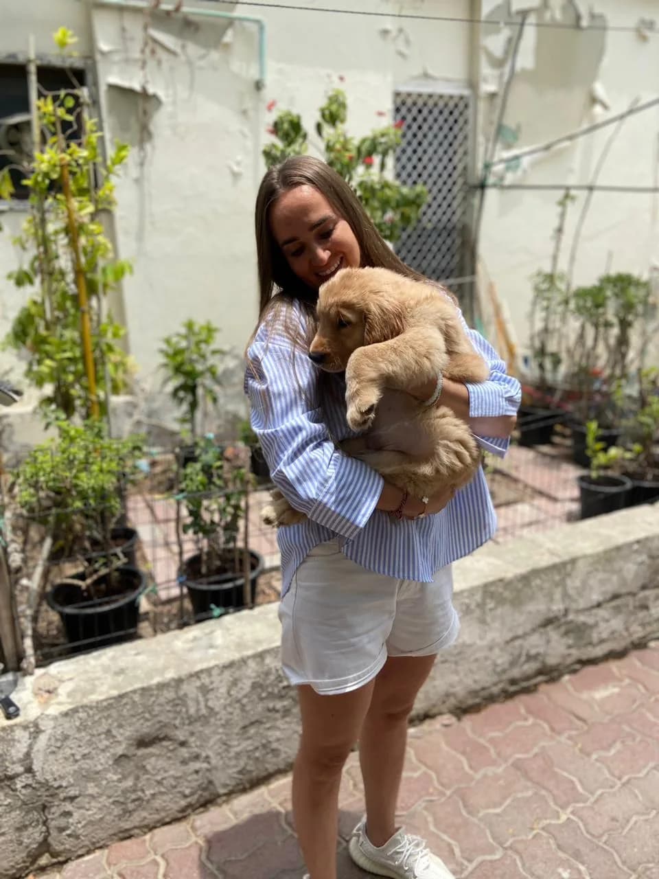 New homes, happy families