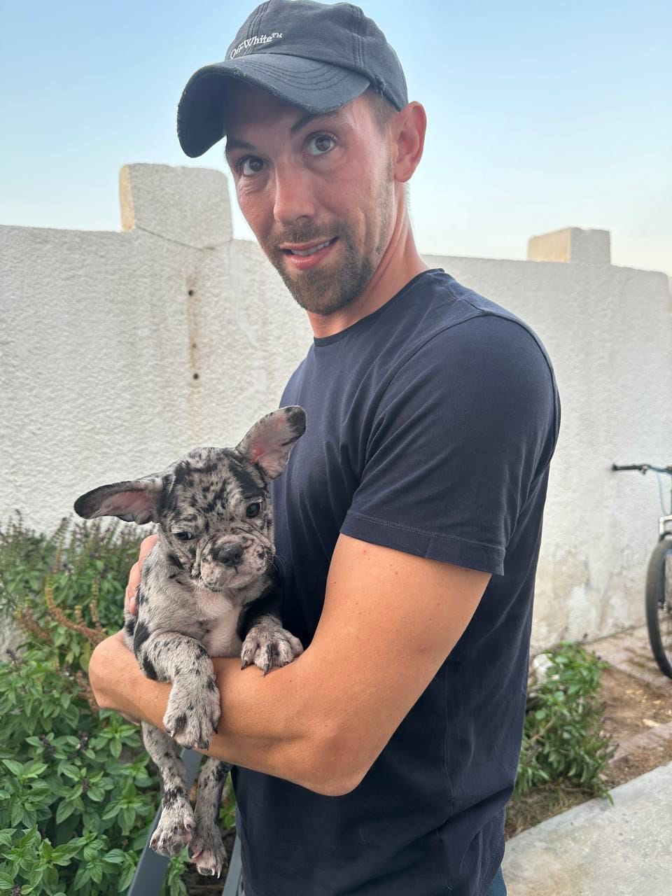 Puppyfy uae Cleint