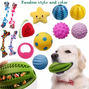 Pet chewing Toys